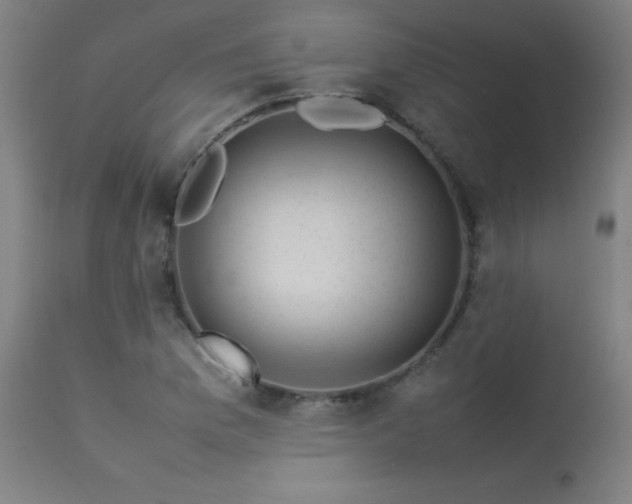 X0000113371169200909221216