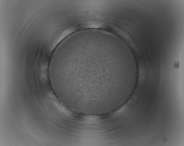 X0000113371170200909221216