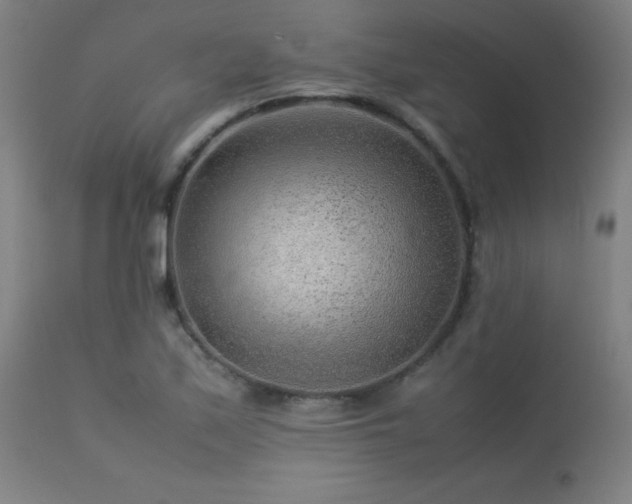 X0000113371171200909221216