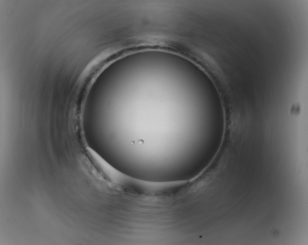 X0000113371172200909221216