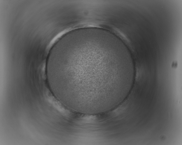 X0000113371174200909221216