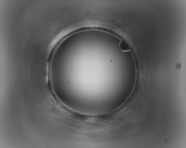 X0000113371175200909221216