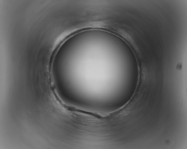 X0000113371176200909221216