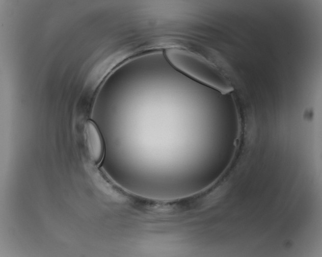 X0000113371177200909221216