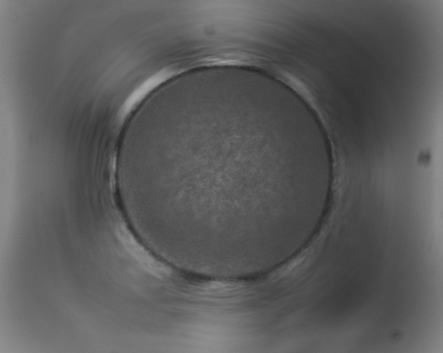 X0000113371179200909221216