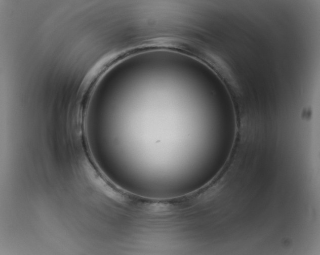 X0000113371180200909221216