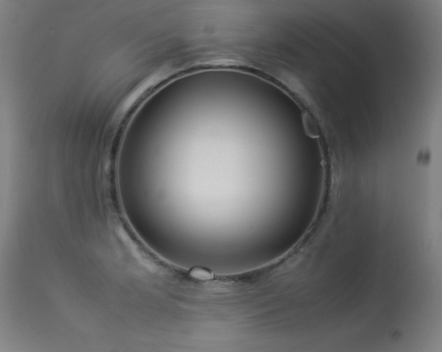 X0000113371181200909221216