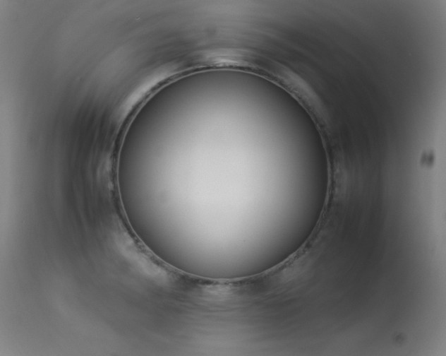 X0000113371182200909221216