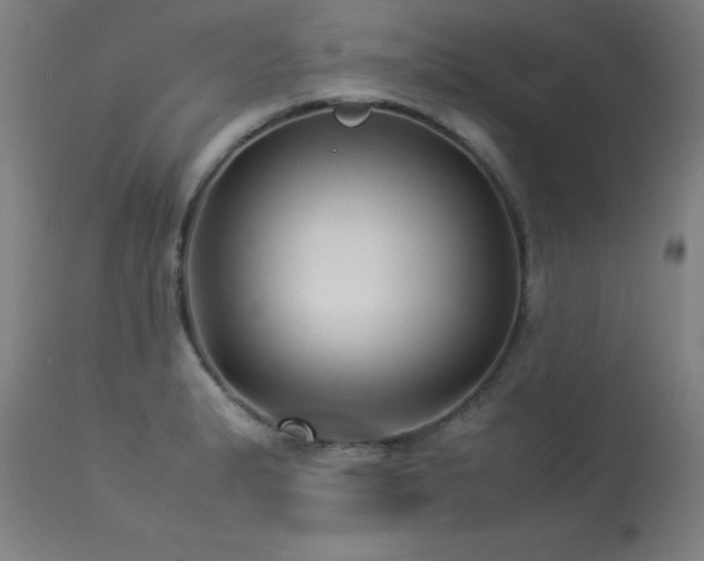 X0000113371183200909221216