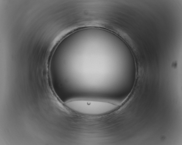 X0000113371184200909221216