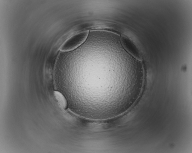 X0000113371185200909221216