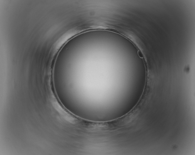 X0000113371187200909221215