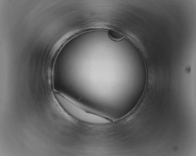 X0000113371188200909221215