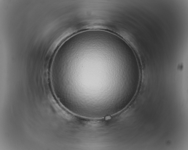X0000113371189200909221215