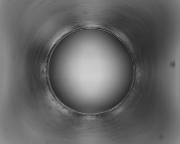 X0000113371190200909221215