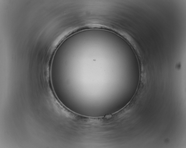 X0000113371191200909221215