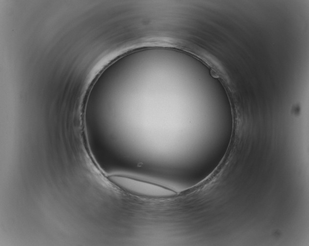 X0000113371192200909221215