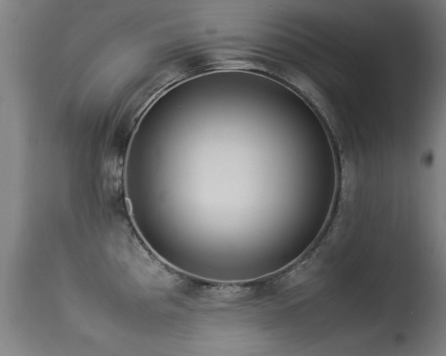 X0000113371193200909221215