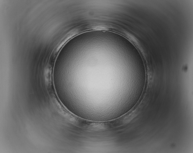 X0000113371194200909221215
