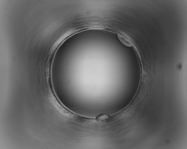 X0000113371195200909221215