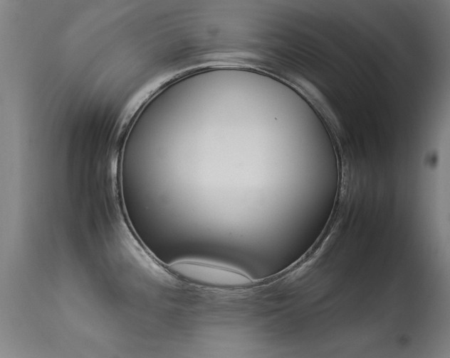 X0000113371196200909221215