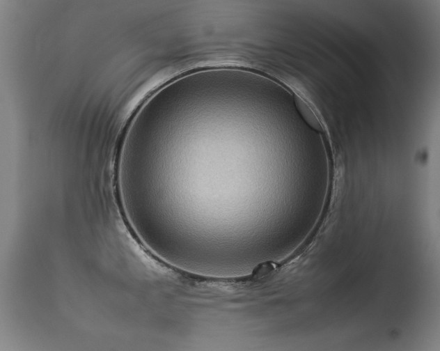 X0000113371197200909221215