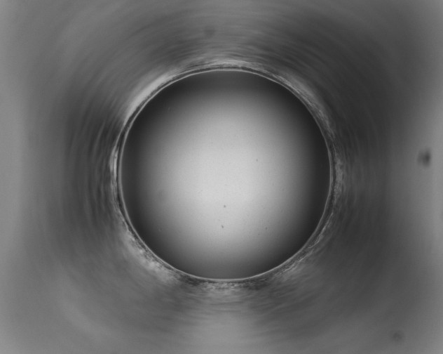 X0000113371198200909221215