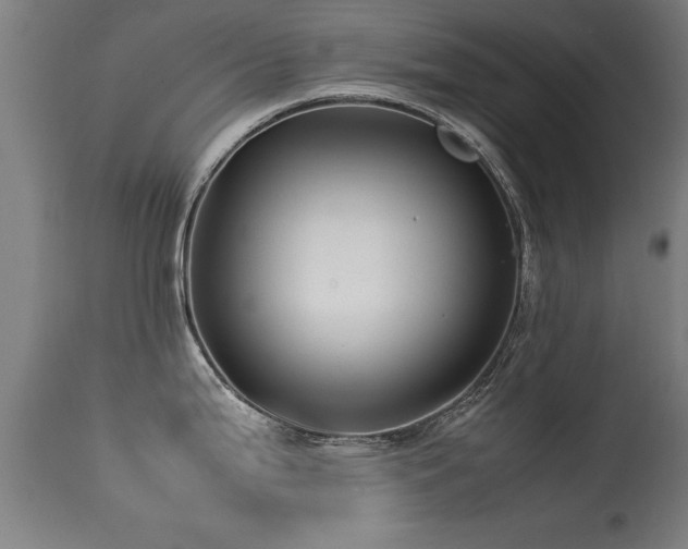 X0000113371199200909221215