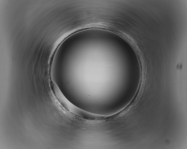 X0000113371200200909221215