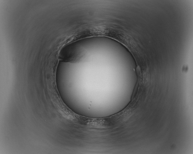 X0000113371201200909221215