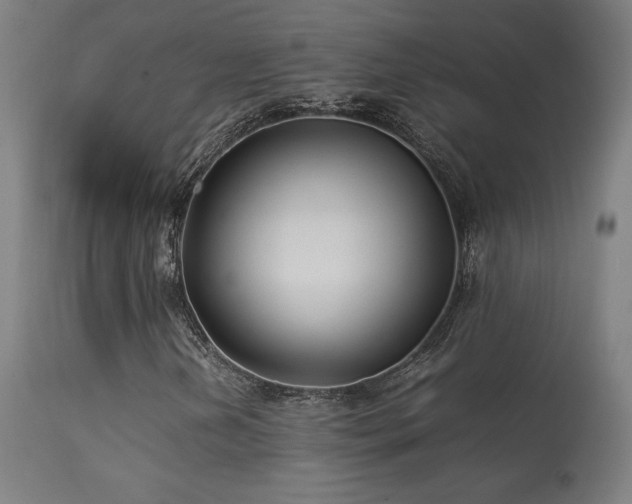 X0000113371202200909221215