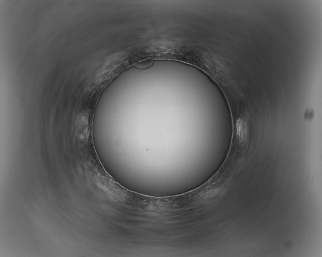 X0000113371203200909221215