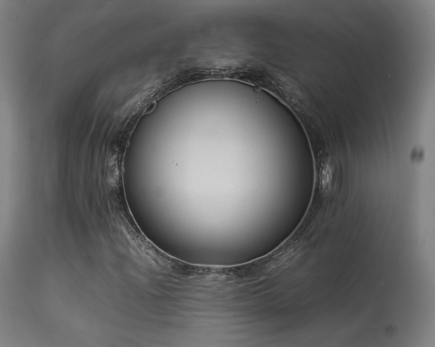 X0000113371204200909221215