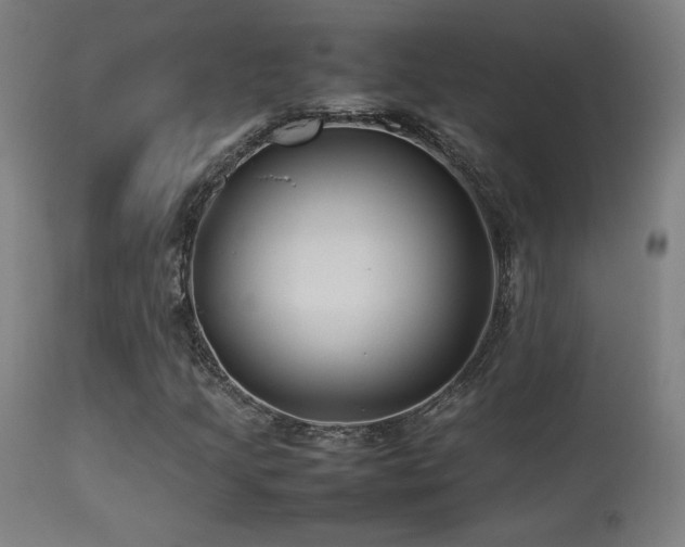 X0000113371205200909221215