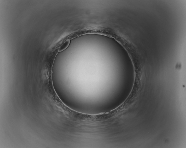 X0000113371206200909221215