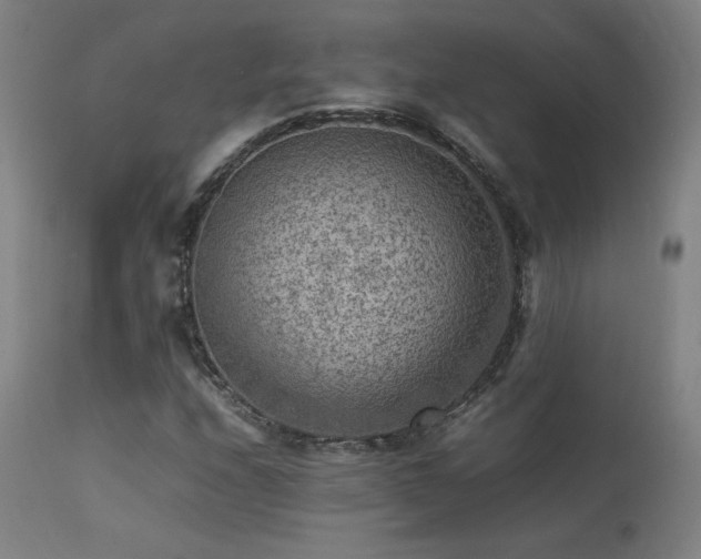 X0000113371208200909221215