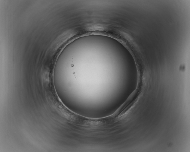 X0000113371209200909221215