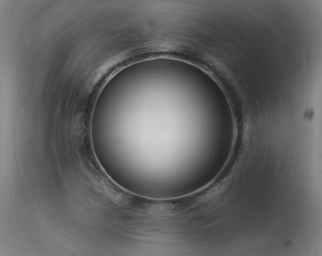 X0000113371210200909221215