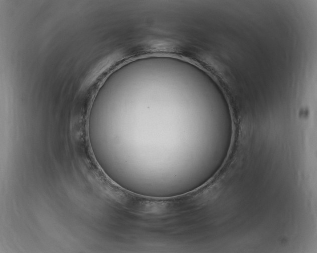 X0000113371211200909221215