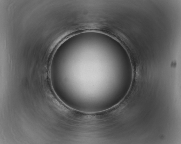 X0000113371212200909221215