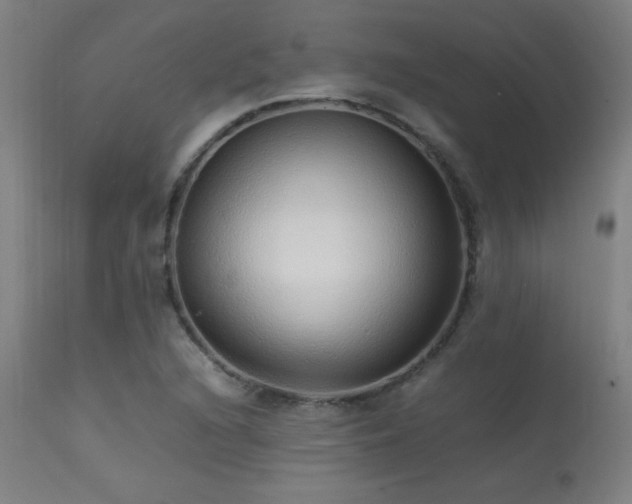 X0000113371216200909221215