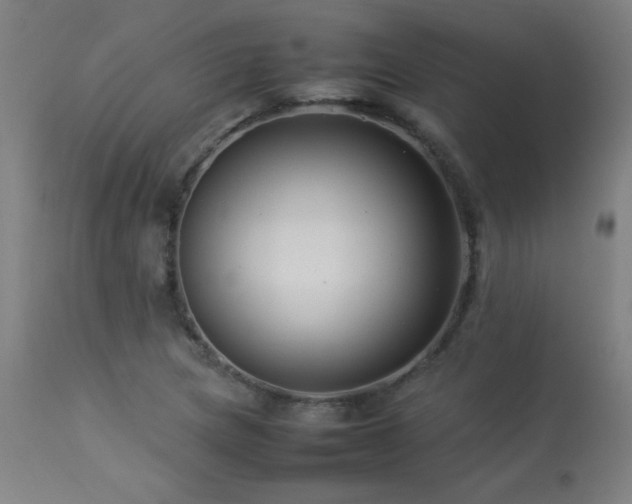 X0000113371217200909221215