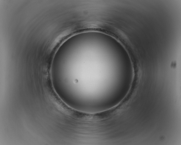 X0000113371218200909221215