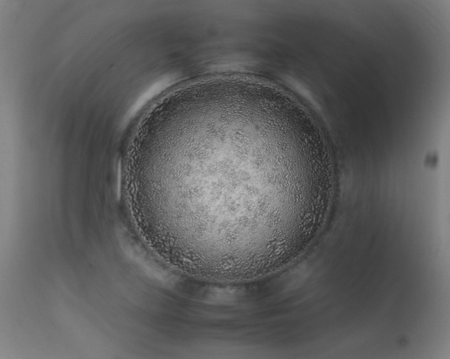 X0000113371219200909221215