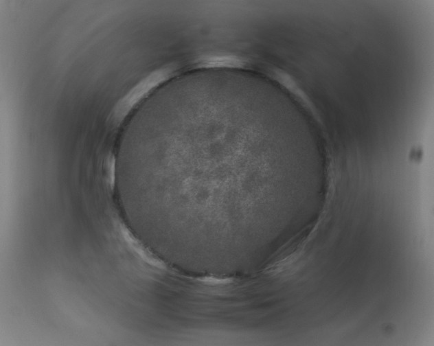 X0000113371221200909221215
