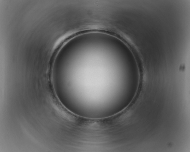 X0000113371222200909221215