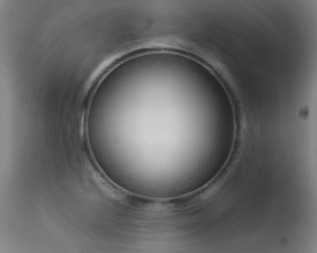 X0000113371224200909221215