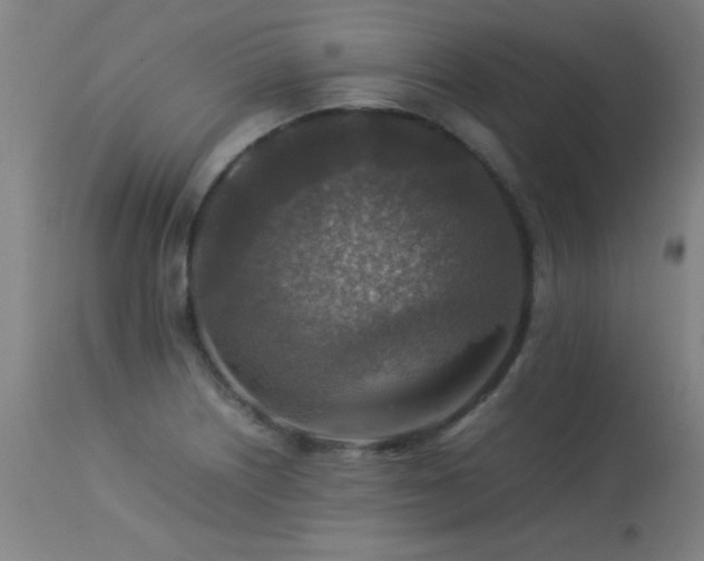 X0000113371226200909221215