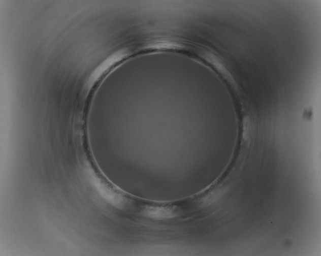 X0000113371229200909221215