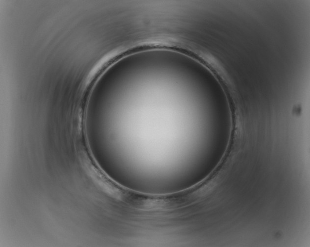 X0000113371232200909221215